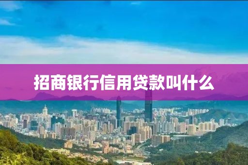 招商银行信用贷款叫什么