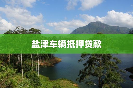 盐津车辆抵押贷款