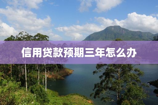 信用贷款预期三年怎么办