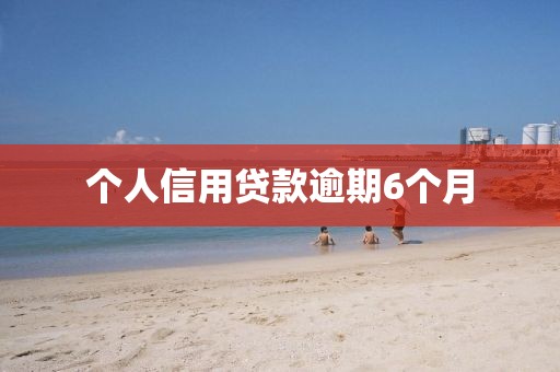 个人信用贷款逾期6个月