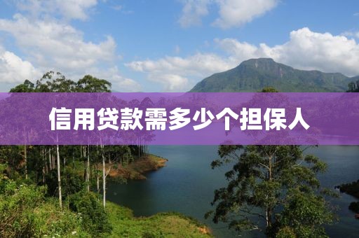 信用贷款需多少个担保人