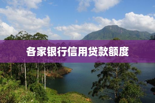 各家银行信用贷款额度