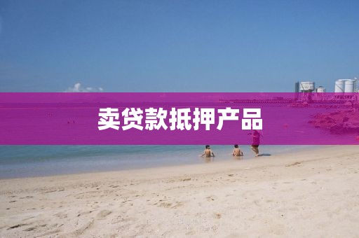 卖贷款抵押产品