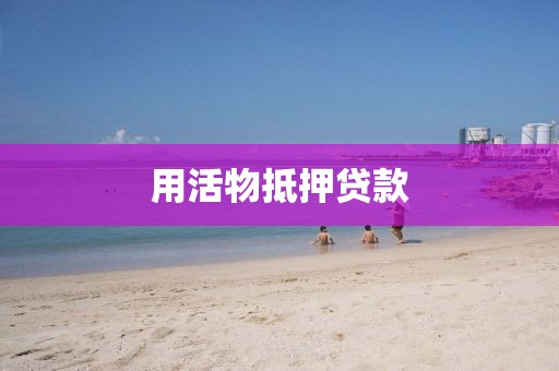 用活物抵押贷款