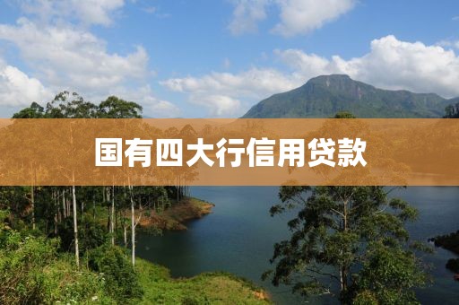 国有四大行信用贷款