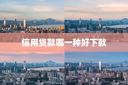 信用贷款哪一种好下款