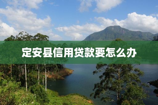 定安县信用贷款要怎么办