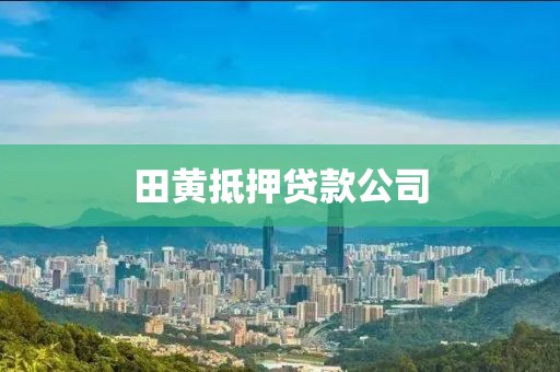 田黄抵押贷款公司