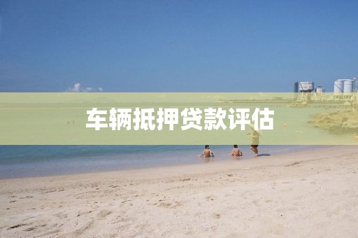 车辆抵押贷款评估