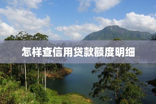 怎样查信用贷款额度明细