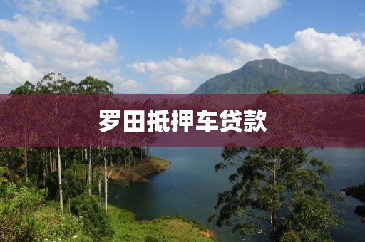 罗田抵押车贷款