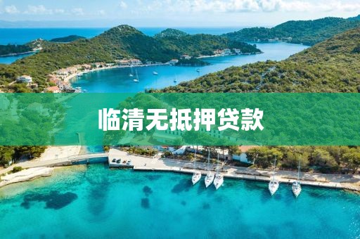临清无抵押贷款