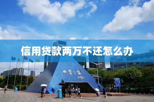 信用贷款两万不还怎么办