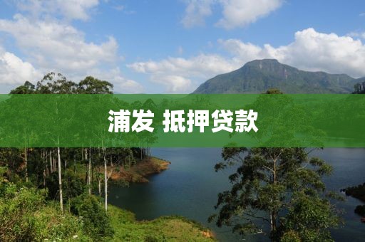 浦发 抵押贷款