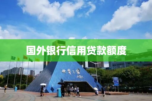 国外银行信用贷款额度