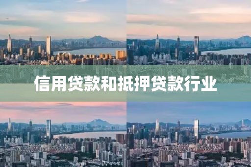 信用贷款和抵押贷款行业
