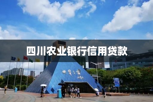四川农业银行信用贷款