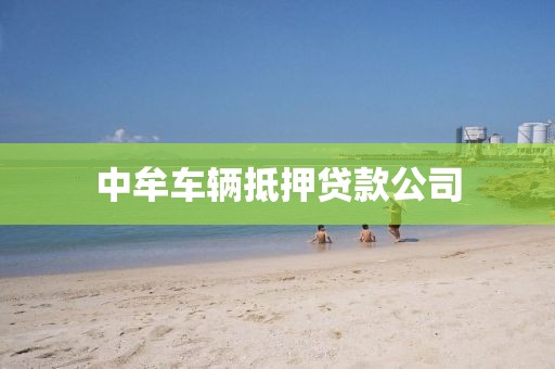 中牟车辆抵押贷款公司