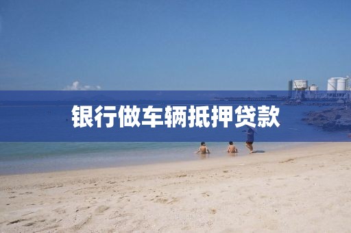 银行做车辆抵押贷款