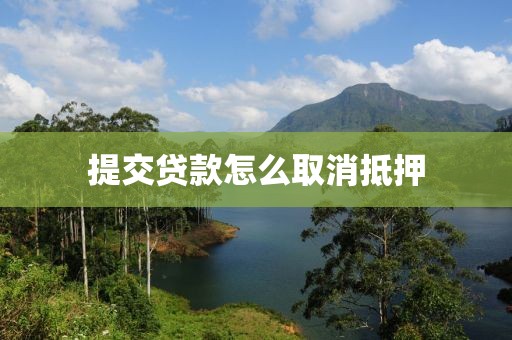 提交贷款怎么取消抵押