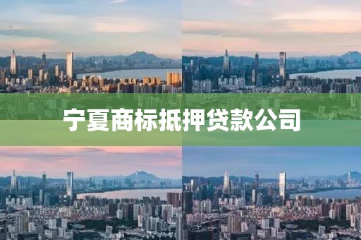 宁夏商标抵押贷款公司