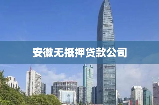 安徽无抵押贷款公司