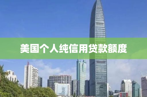 美国个人纯信用贷款额度