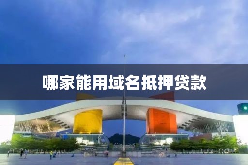 哪家能用域名抵押贷款