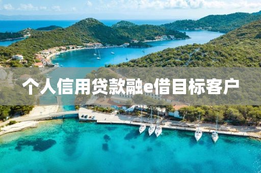 个人信用贷款融e借目标客户