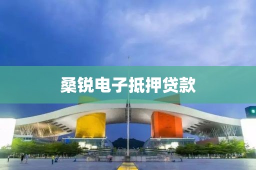 桑锐电子抵押贷款