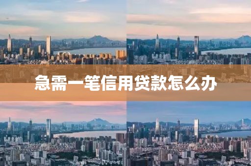 急需一笔信用贷款怎么办