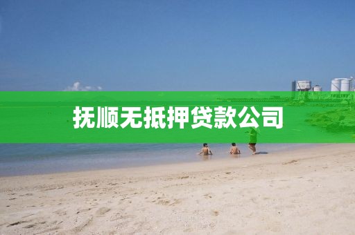 抚顺无抵押贷款公司