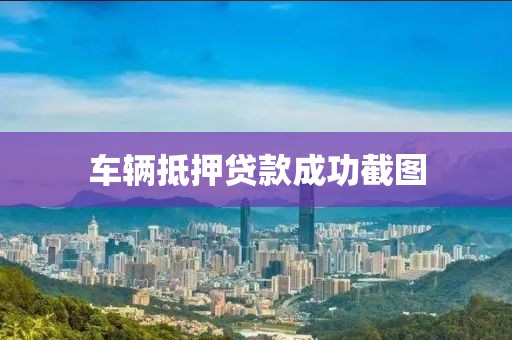 车辆抵押贷款成功截图