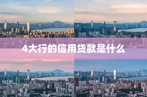 4大行的信用贷款是什么