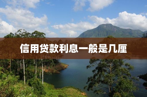 信用贷款利息一般是几厘