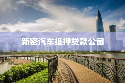新密汽车抵押贷款公司