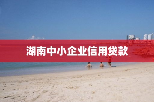 湖南中小企业信用贷款