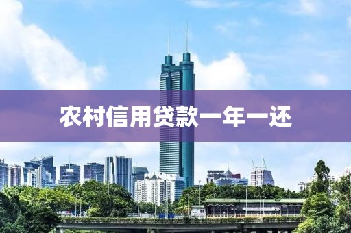 农村信用贷款一年一还