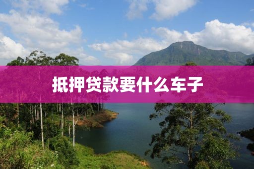 抵押贷款要什么车子