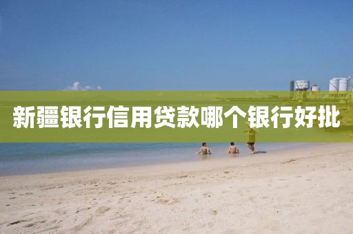 新疆银行信用贷款哪个银行好批
