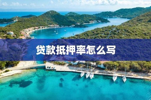 贷款抵押率怎么写