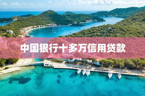 中国银行十多万信用贷款