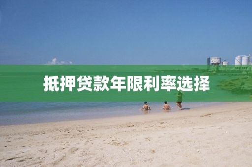 抵押贷款年限利率选择