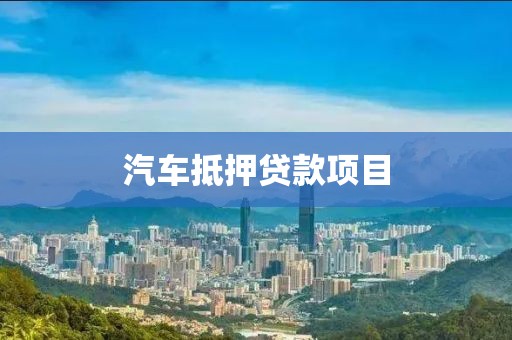 汽车抵押贷款项目