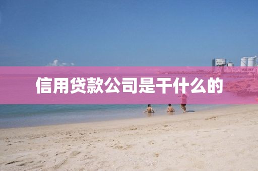 信用贷款公司是干什么的