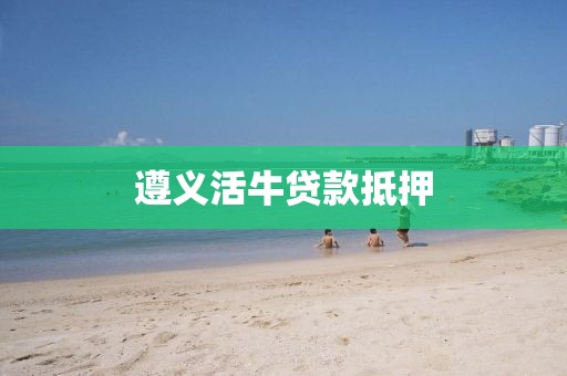 遵义活牛贷款抵押