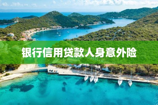 银行信用贷款人身意外险