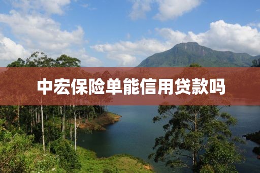中宏保险单能信用贷款吗