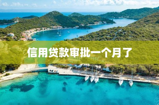 信用贷款审批一个月了