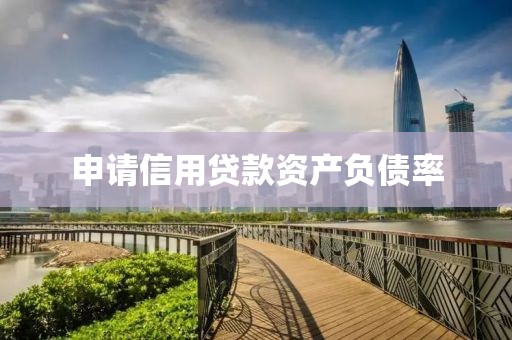 申请信用贷款资产负债率